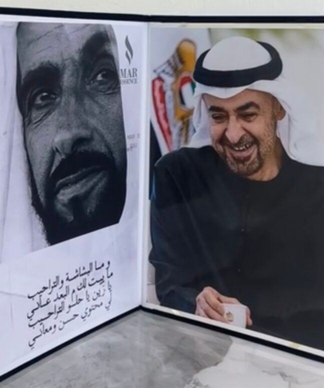 كتاب زايد ومحمد